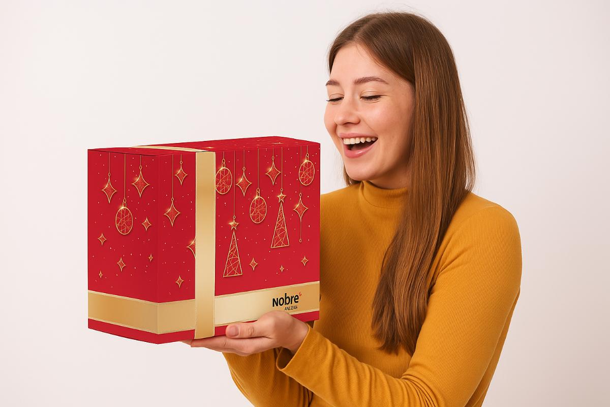 Cestas de Natal para revenda (2)