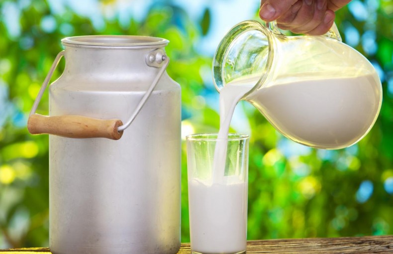 Como destemperar leite em poucos passos