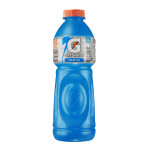 Isotônico Blue Berry Garrafa Gatorade 500ml