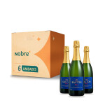 Espumante Brut Salton - 750ml