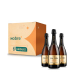 Espumante Prosecco Brut Salton - 750ml